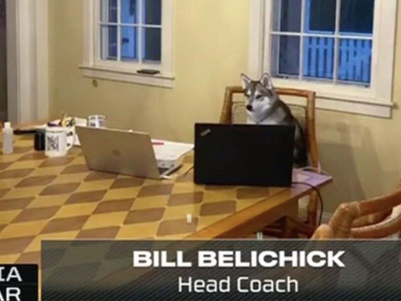 A look at the newest New England&nbsp;Patriots